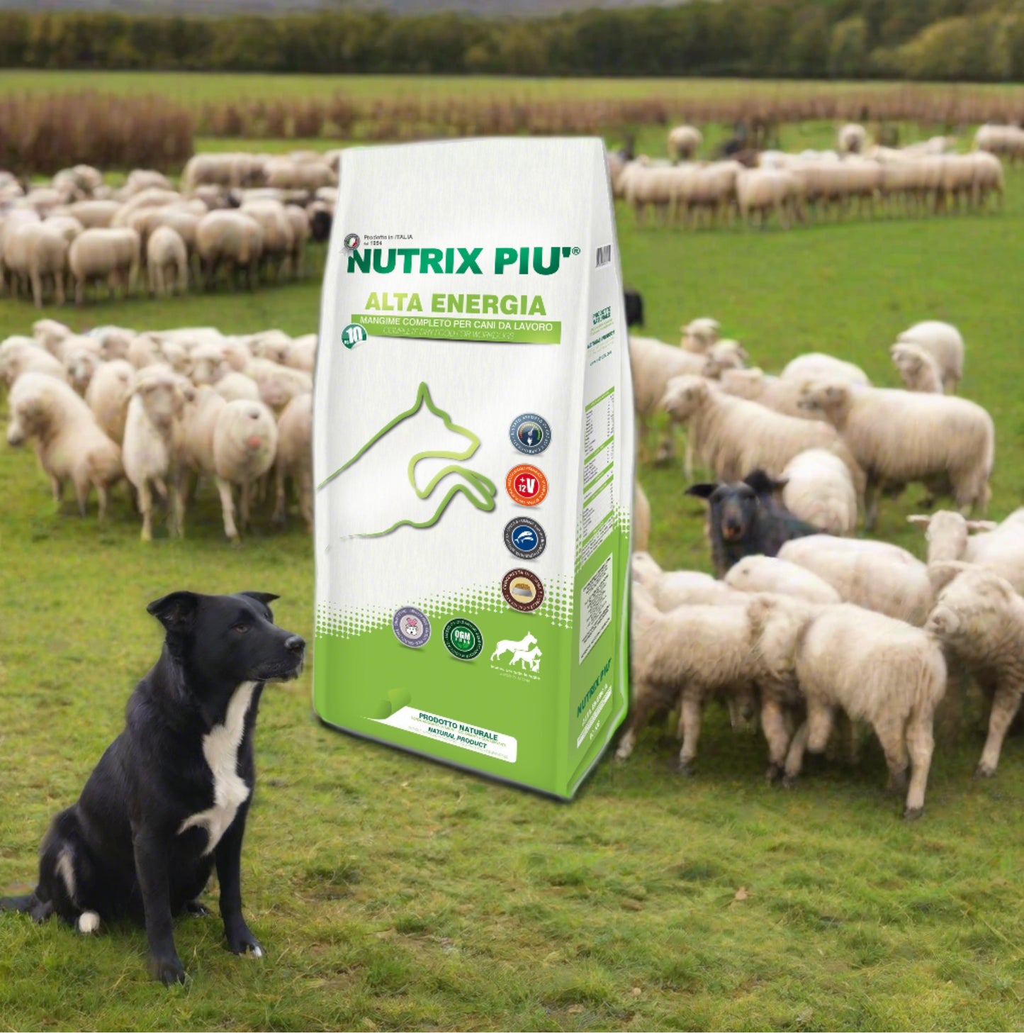 NUTRIX PIU’ ALTA ENERGIA PER CANI DA LAVORO