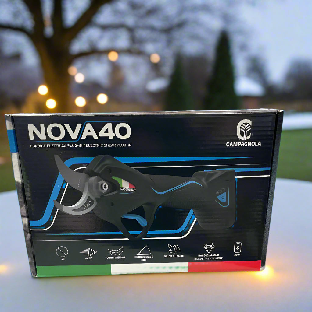 NOVA 40