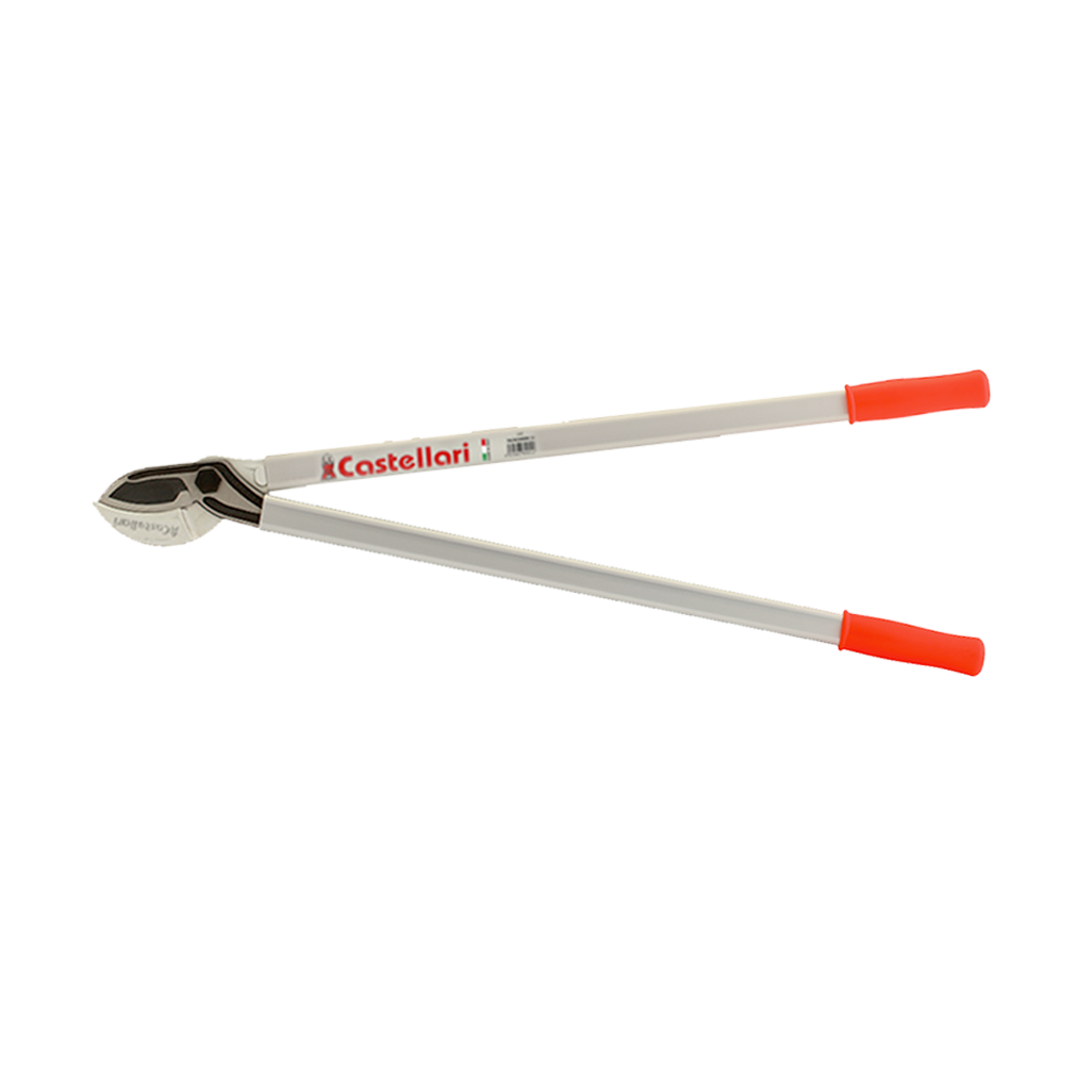 TRONCARAMI